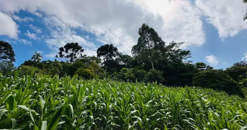 Sítio / Chácara para Venda no bairro Serra Grande em Três Coroas, 1 quarto, 61612 m² privativos,