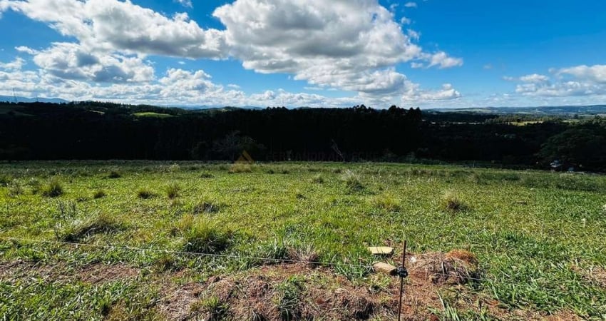 Sítio / Chácara para Venda no bairro Zona Rural em Sapiranga, 5000 m² privativos,