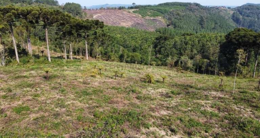 Sítio / Chácara para Venda no bairro Linha Tapera em Gramado, 32000 m² de área total,