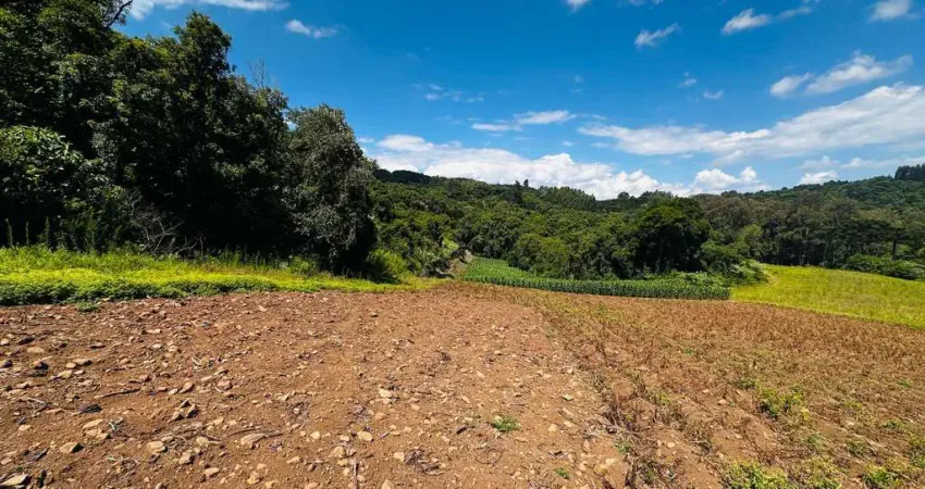 Sítio / Chácara para Venda no bairro Alto Padre Eterno em Santa Maria do Herval, 2 quartos, 58000 m² privativos,