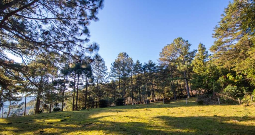 Sítio / Chácara para Venda no bairro Centro em Morro Reuter, 3 quartos, 1 vaga, 28000 m² de área total, 150 m² privativos,