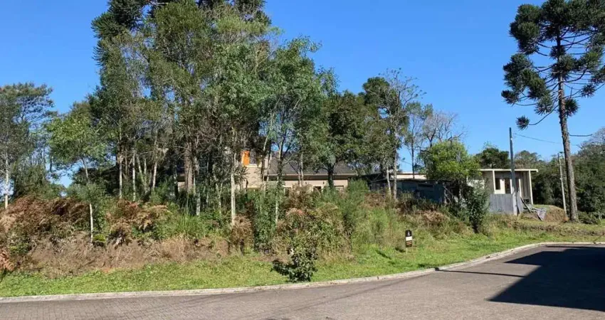 Terreno para Venda no bairro Carniel em Gramado, 543 m² de área total, 543 m² privativos,