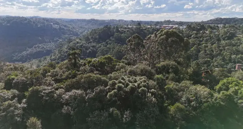 Terreno para Venda no bairro Centro em Canela, 802 m² de área total, 802 m² privativos,