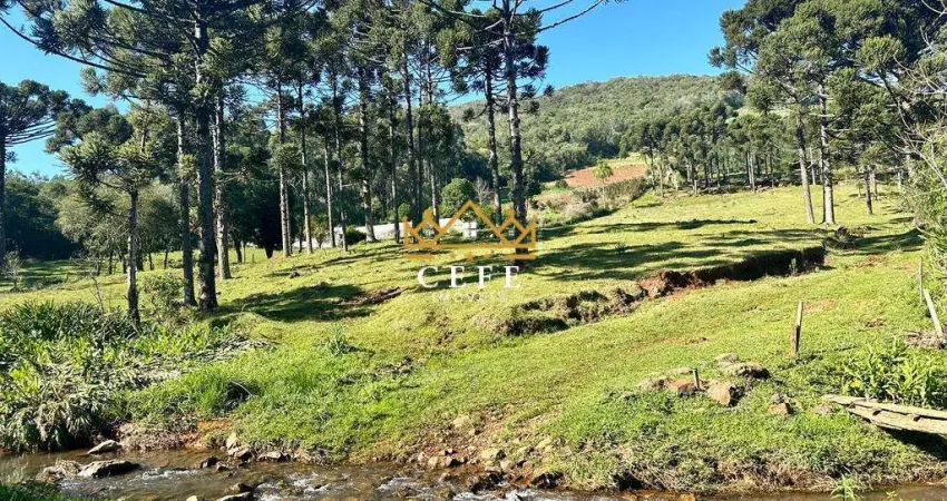 Chácara / sítio com 2 quartos à venda na Zona Rural, Morro Reuter