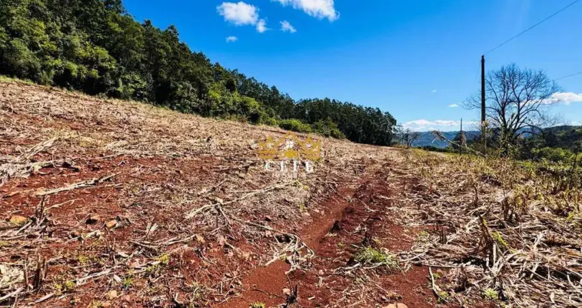 Sítio / chácara para venda no bairro linha quatro cantos em morro reuter