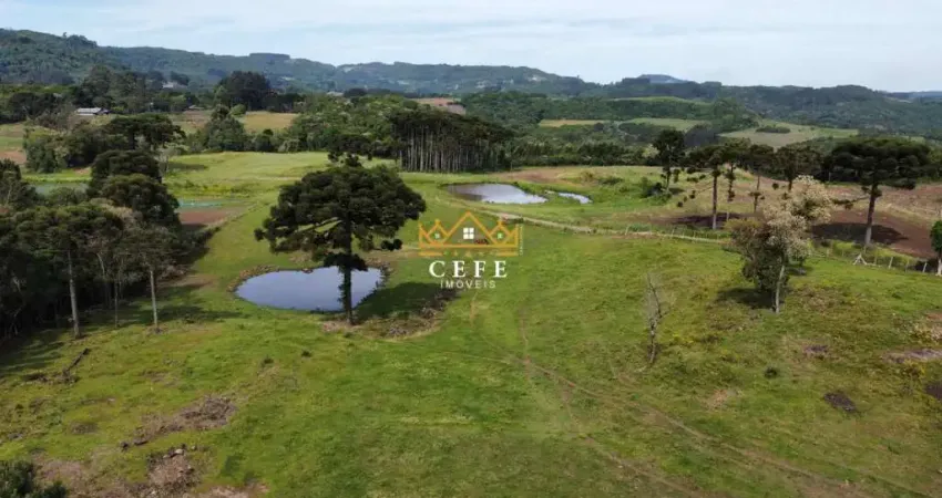 Chácara - sítio para venda  no bairro boa vista do herval em santa maria do herval