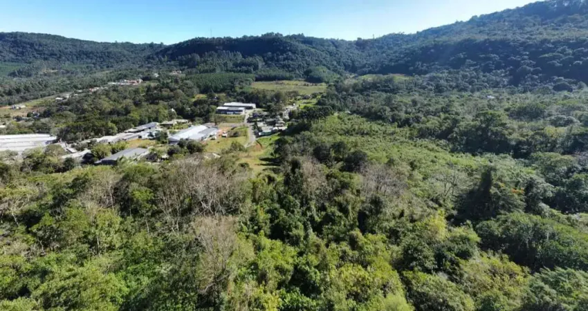 Terreno padrão para venda  no bairro várzea grande em gramado