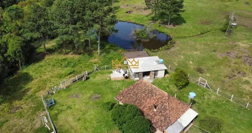 Chácara - sítio para venda  no bairro boa vista do herval em santa maria do herval