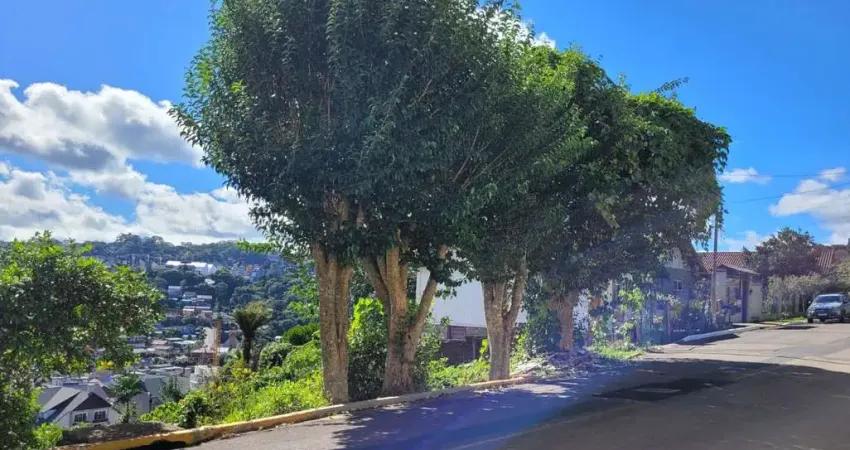 Terreno à venda na Rua Padre Schol, 231, Piratini, Gramado