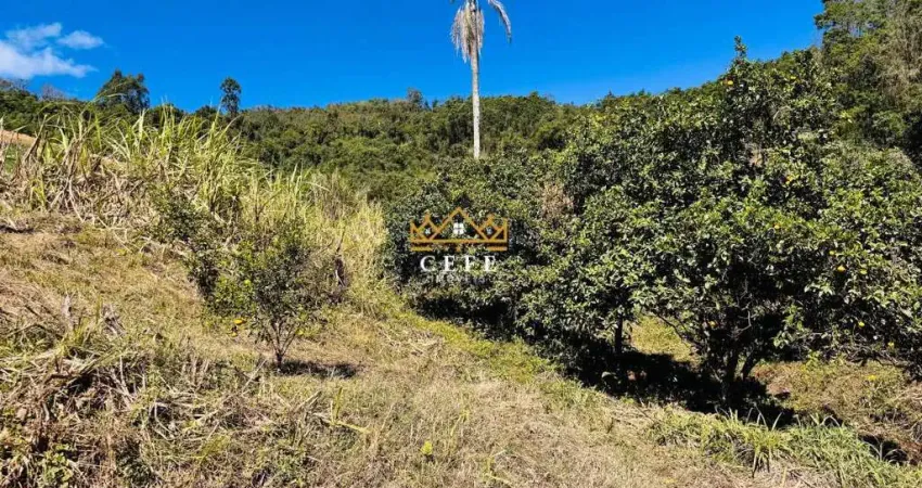 Sítio / chácara para venda no bairro linha quatro cantos em morro reuter