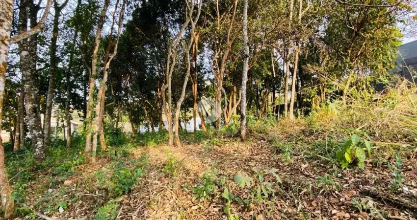 Terreno em condomínio fechado à venda na Serra da Mantiqueira, 174, Vila Del Rey, Nova Lima