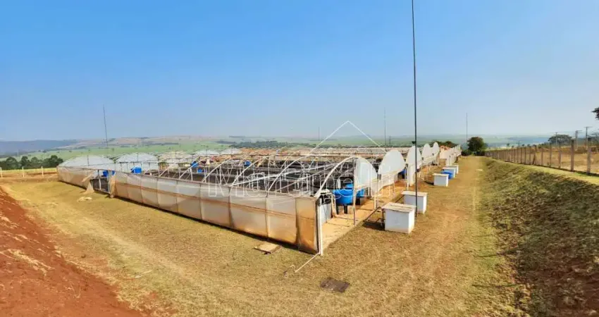 Fazenda à venda na Zona Rural, São Simão 