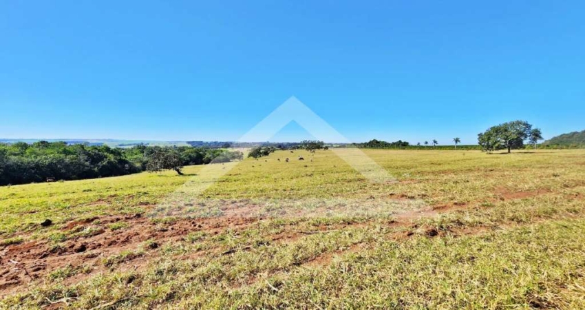 Fazenda à venda na Zona Rural, Batatais 