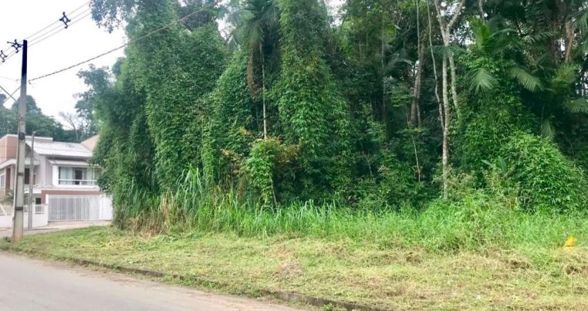 Terreno à venda na Santiago, 35, Das Capitais, Timbó