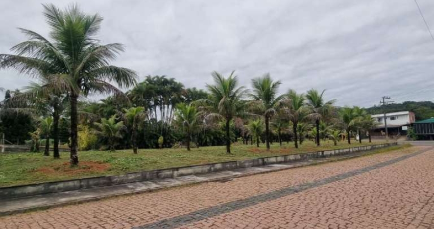 Terreno à venda no bairro Padre Martinho Stein em Timbó/SC