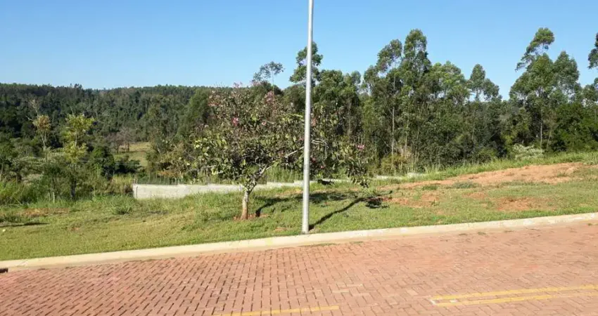 Terreno em condomínio fechado à venda na Avenida Isaura Roque Quércia, Loteamento Residencial Entre Verdes (Sousas), Campinas