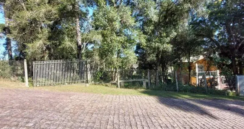 Terreno à venda na Rua João Tigrinho de Freitas, 346, Moradias Bom Jesus, Campo Largo