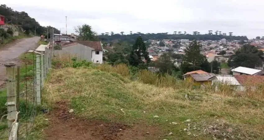 Terreno de 1.290m² em campo largo – ideal para construção residencial!