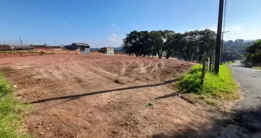 Terreno à venda na Policarpo Ferreira de Miranda, 10, Loteamento Miranda, Campo Largo