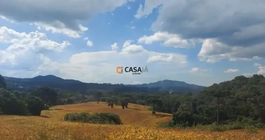 Fazenda à venda no Bateias, Campo Largo 