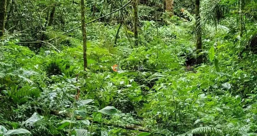 Viva no paraíso! chácara de 24.200m² com rio e vista incrível!