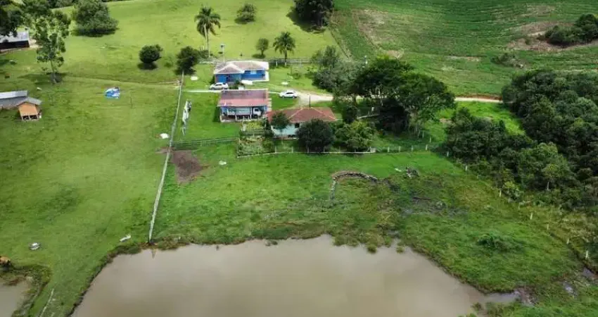Chácara / sítio com 5 quartos à venda no Bugre, Balsa Nova 