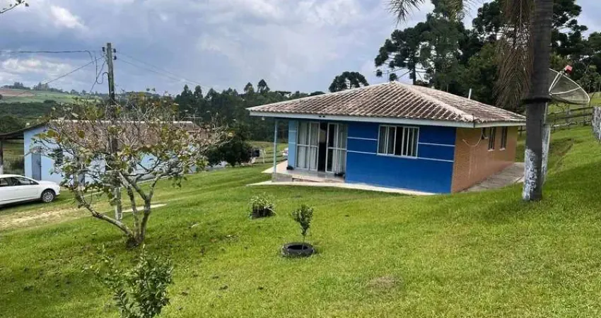 Chácara / sítio com 5 quartos à venda na Mato Grosso, 100, Bugre, Balsa Nova