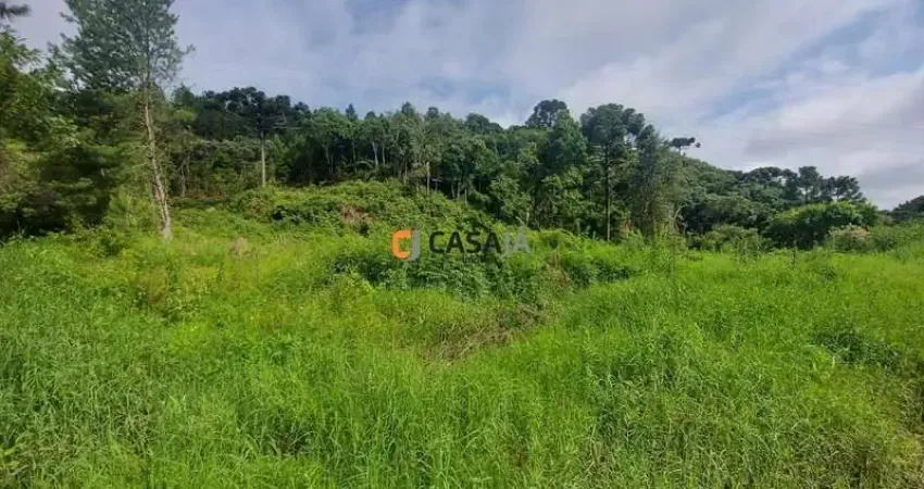 Terreno à venda no Jardim Bela Vista, Balsa Nova 