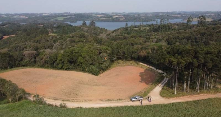 Terreno para Formação de Chácara Próximo ao Centro de Campo Largo