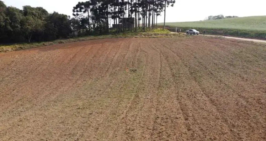 Terreno para formação de chácara próximo ao centro de campo largo