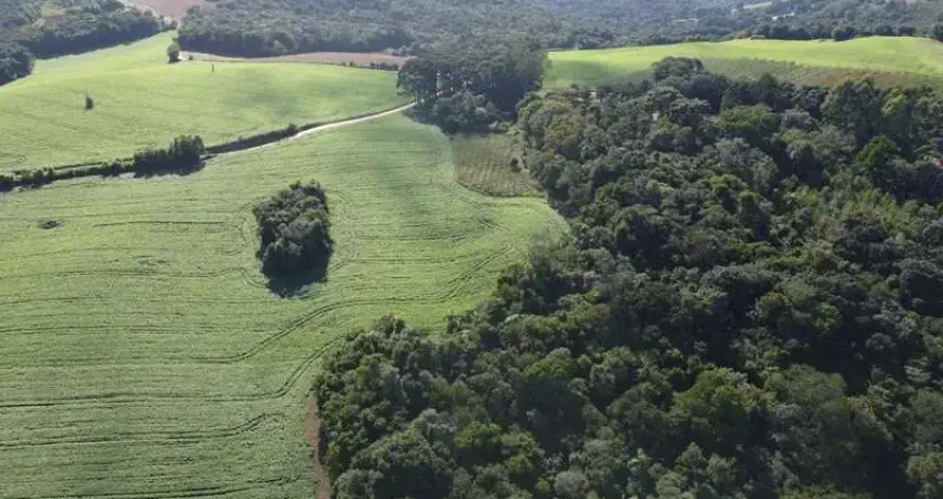Terreno rural com 104.000m², água mineral e natureza em bateias!