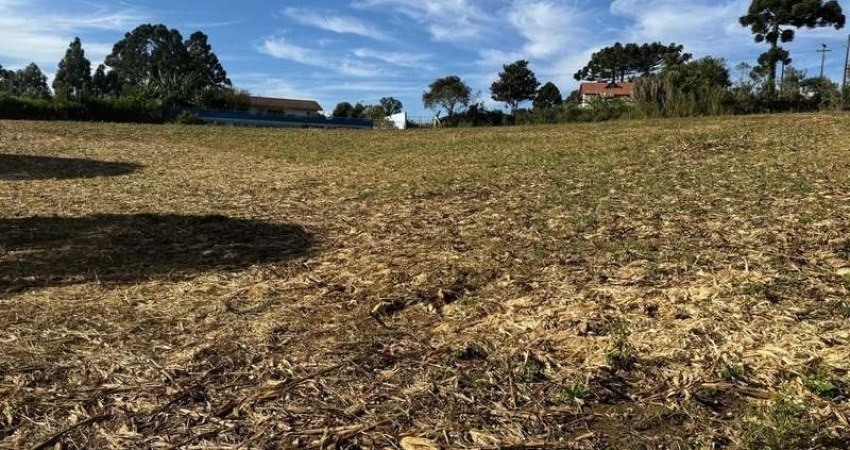 TERRENO DOS SEUS SONHOS EM LOCALIZAÇÃO PRIVELIGIADA