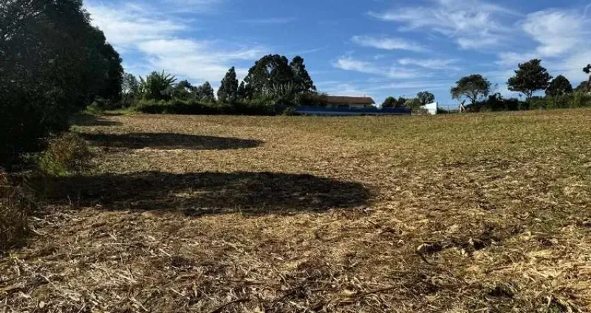 Terreno à venda na JULIO GORSKI, 1, Fazendinha, Campo Largo