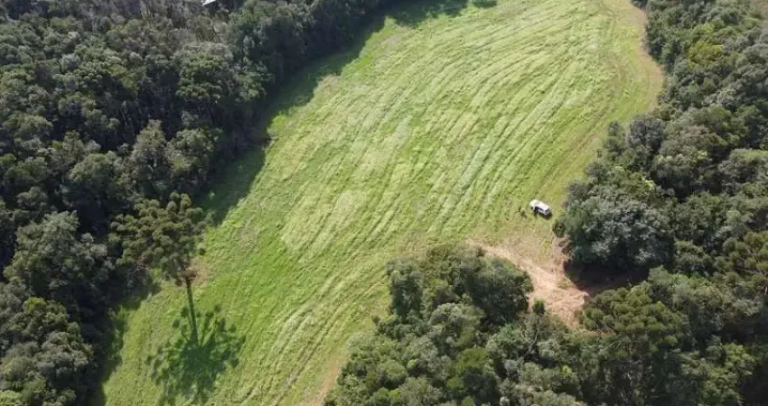 Terreno para formação de chácara próximo ao centro de campo largo