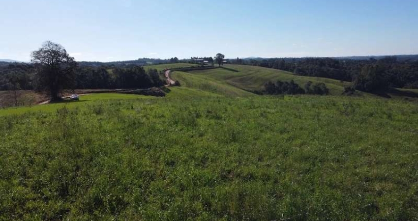 Chácara com vista de cinema a 10 min do centro de Campo Largo!