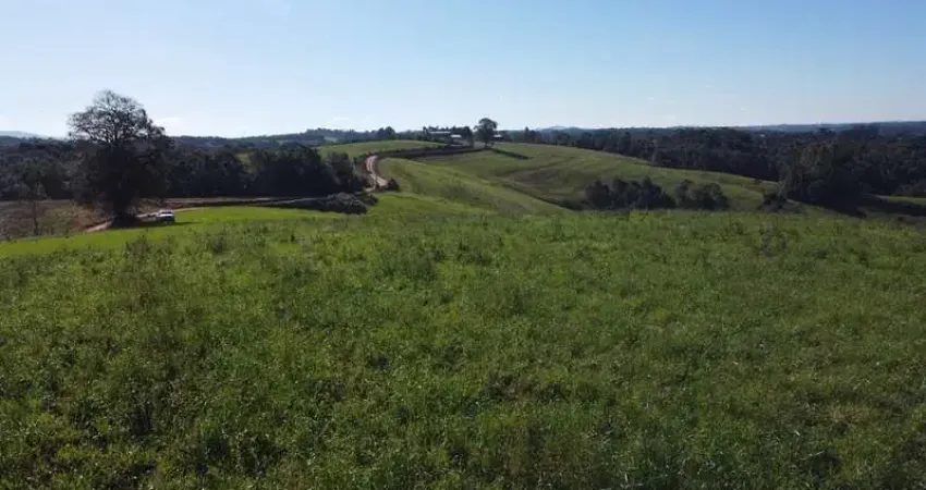 Chácara com vista de cinema a 10 min do centro de Campo Largo!