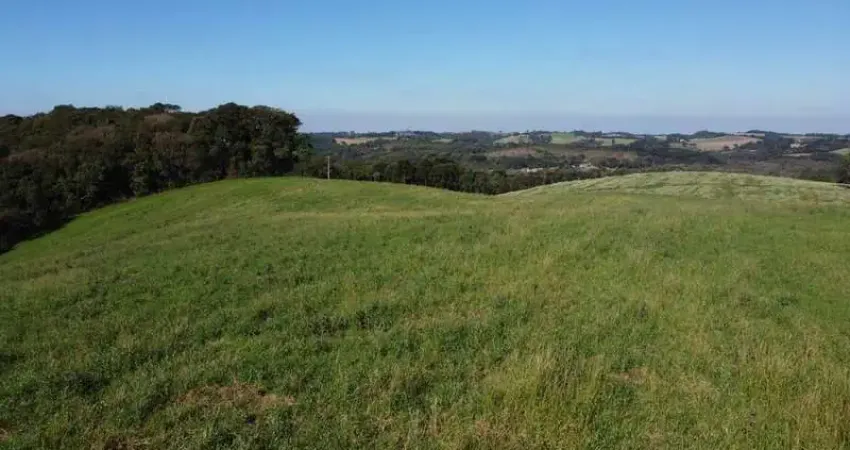 Terreno com vista dos sonhos a 10 min do centro de campo largo!