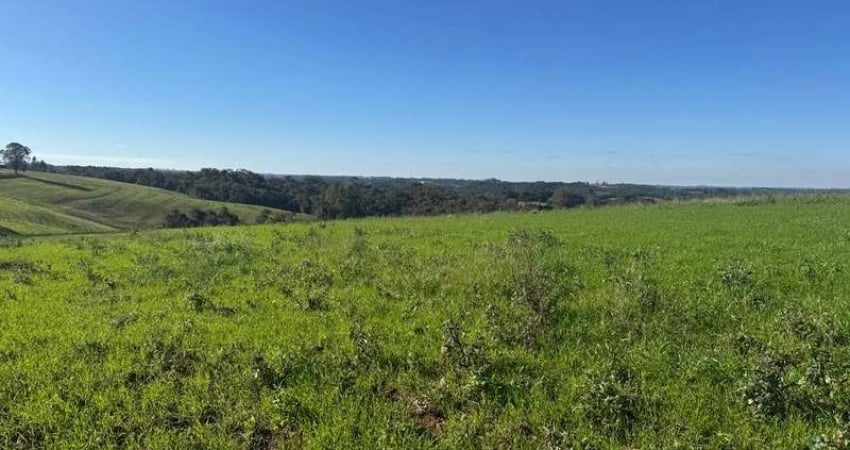 Chácara com vista de cinema a 10 min do centro de Campo Largo!
