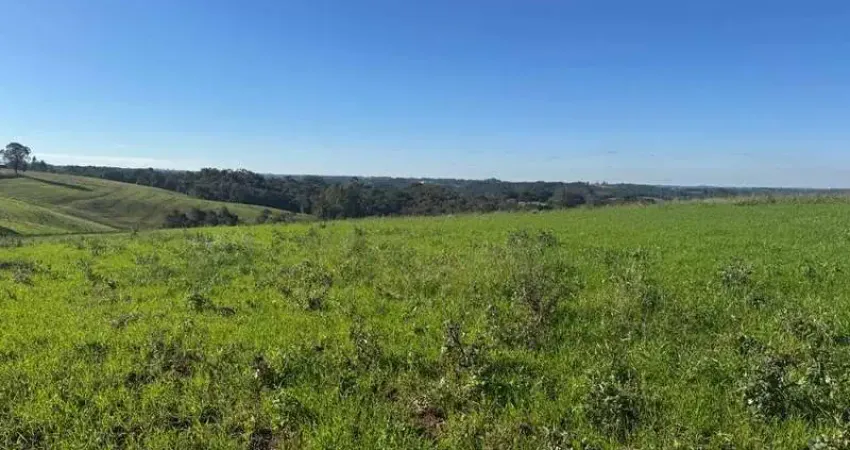Chácara com vista dos sonhos a 10 min do centro de campo largo!