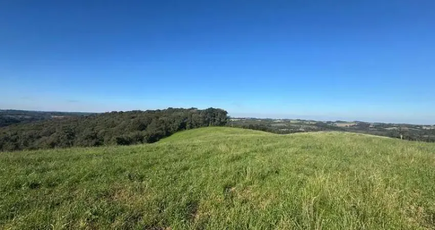 Chácara / sítio com 1 quarto à venda na 25°32 18.8'S 49°33 34.5'W, 1, Colônia Balbino Cunha, Campo Largo