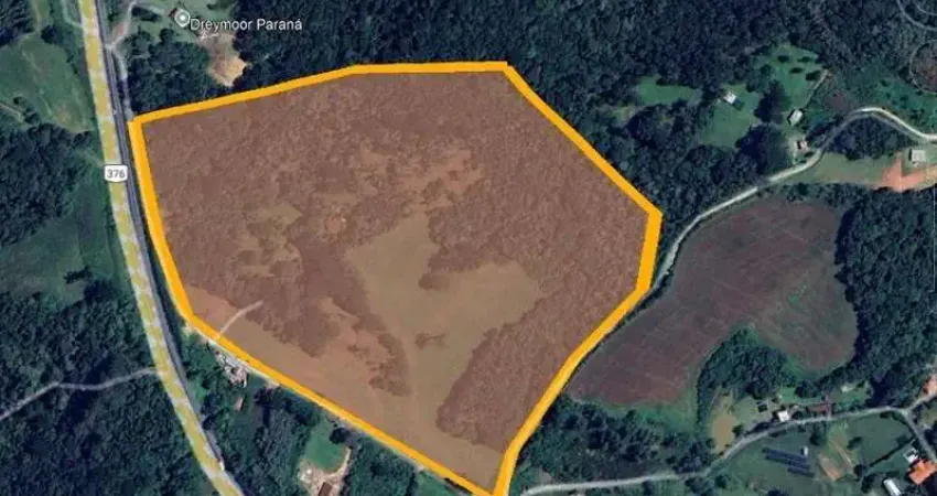 Imperdível! terreno industrial à venda em campo largo - 130.000m²