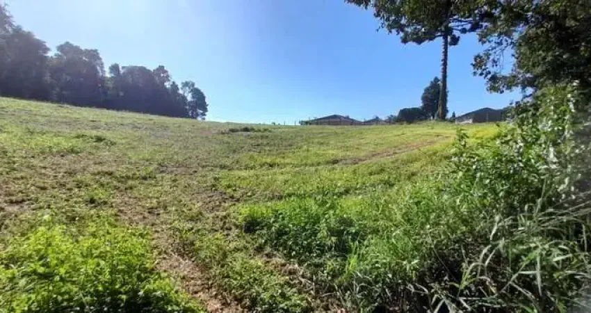 Terreno à venda na SEREIA ESTRADA DA SEREIA, 1, Zona Rural, Campo Largo