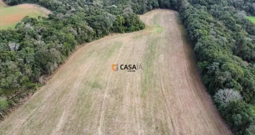 Chácara / sítio com 1 quarto à venda na Rua 15 de Maio, 1000, Colônia Balbino Cunha, Campo Largo