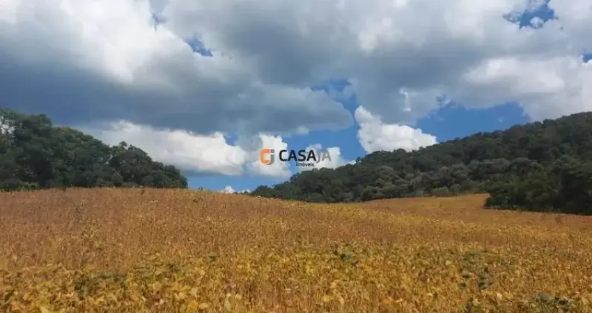 Terreno de 8 alqueires: natureza e oportunidade de investimento!