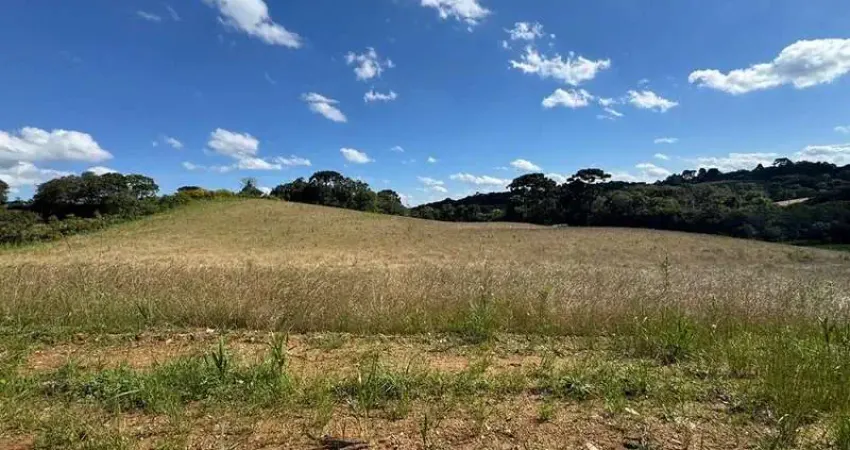 Terreno para formação de chácara próximo ao centro de araucária