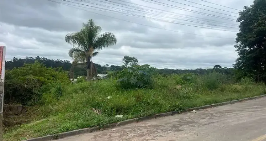 Terreno amplo na parte alta da vila pompéia, localização que valoriza!