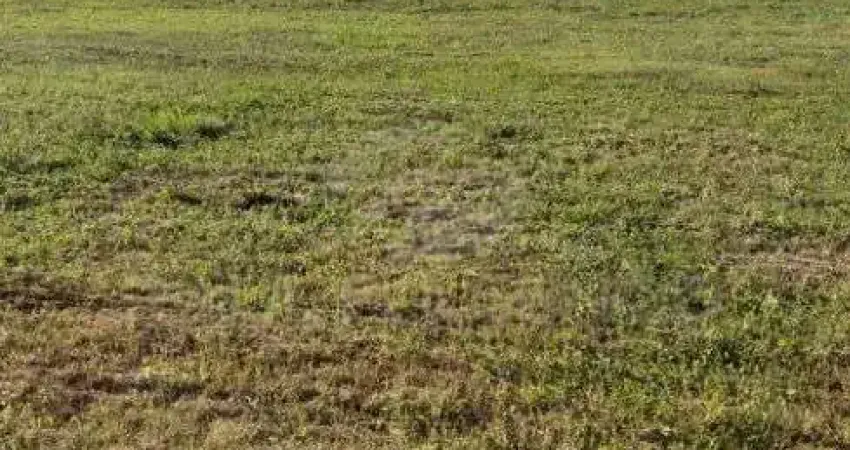 Terreno em condomínio fechado à venda na Rua Perimetral Oeste, 154, Ecovillas do Lago, Sertanópolis