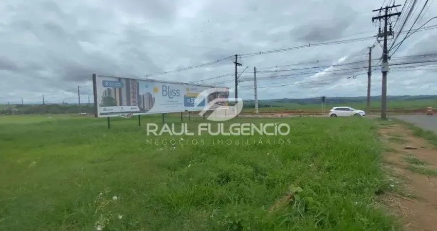 Terreno comercial para alugar na Avenida Saul Elkind, Conjunto Habitacional Violim, Londrina