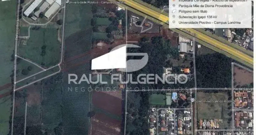 Terreno comercial com 6 mil m2 para locacao na Avenida Octavio Genta