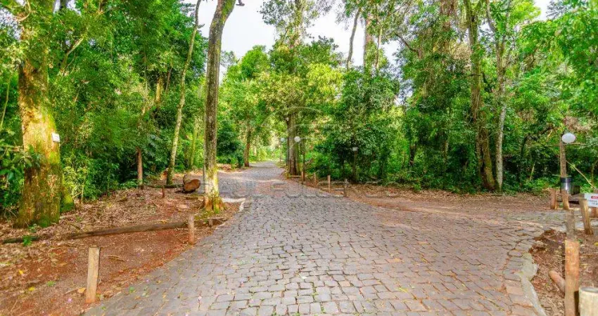 Casa em condomínio fechado com 3 quartos à venda na Avenida Gil de Abreu Souza, 2335, Esperança, Londrina